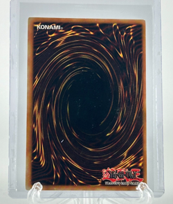 YuGiOh! TCG Toon Dark Magician Girl Limited Edition JUMP-EN010 NM - Image 2