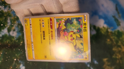 🔥 Pokemon Card - Promo Pikachu Chinese 201/S-P (Taiwan) 🔥 - Image 2