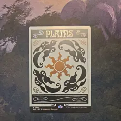 NM FOIL Plains SLD #888 Secret Lair Bonus Card Magic The Gathering MTG - Image 1