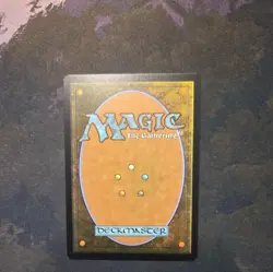 NM FOIL Plains SLD #888 Secret Lair Bonus Card Magic The Gathering MTG - Image 2