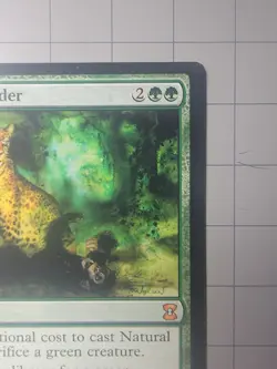 Natural Order | NM | Eternal Masters | EMA #177 | MTG - Image 4