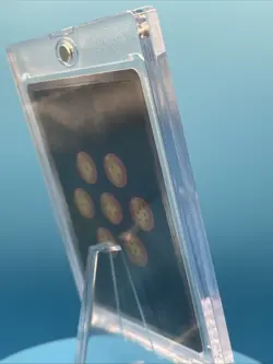 Dragon Ball Super Card Game Arcane Absorption Majin Buu Destroyer Kings BT6-126 - Image 4