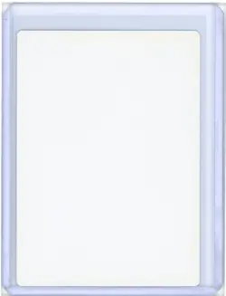 Island Mirage #355 Signed Douglas Shuler Artist Proof MTG - Image 2