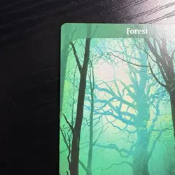Forest Land Full Art Regular MTG Unstable #216 LP - Image 2
