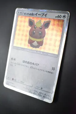 Poncho Wearing Eevee 139/SM-P Eevee Mega Campaign Promo 2017 Holo Pokemon Card - Image 4