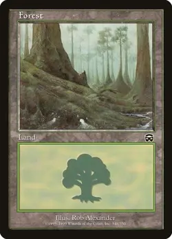 Forest (#348) - Foil Mercadian Masques HP MTG - Image 1