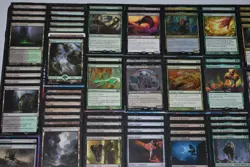Magic the Gathering - Golgari Deathtouch Trample Theme Deck - Fynn Poinson - Image 4