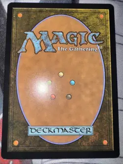 Show and Tell (Borderless) Special Guests - Image 2