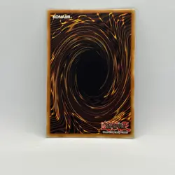 Yugioh Amazoness Onslaught LDS1-EN025 Common 1st Edition - Image 2