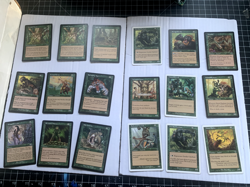 MTG - Lot of Green Cards #2 - 100+ Common and 35+ Uncommon - MP-NM - Early 2000s - Image 1