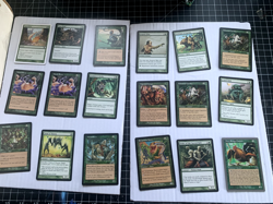 MTG - Lot of Green Cards #2 - 100+ Common and 35+ Uncommon - MP-NM - Early 2000s - Image 4