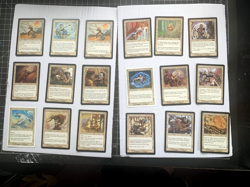 MTG - Lot of White Cards - 100+ Common and 35+ Uncommon - MP-NM - Image 1