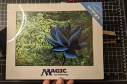 MTG Black Lotus Limited Edition Chroma-Cel Print New with COA Artwork sealed NEW - Image 1