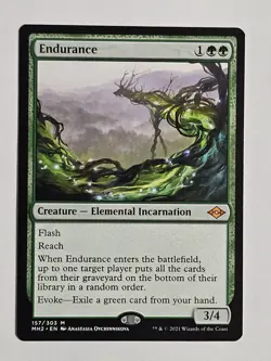 Endurance Modern Horizons 2 Regular - Image 1