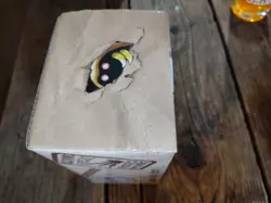 Vintage 1999 POKEMON FOSSIL 1st Ed Promo Collector's CARD BOX Very Rare 2000 - Image 4