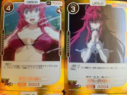 High School DXD Hero - R card Partial Set! - 23 cards - Osica Foil Bikini Anime - Image 3