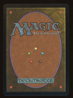 Wooded Foothills - FOIL - MTG Judge Promo - RareCo - Image 2