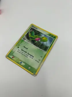 Pokemon Treecko - 016 (EX Deck Tin) - Nintendo Black Star Promos (PR) - Image 4