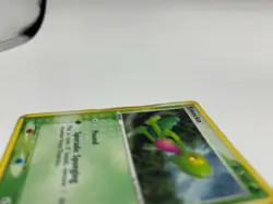 Pokemon Treecko - 016 (EX Deck Tin) - Nintendo Black Star Promos (PR) - Image 5