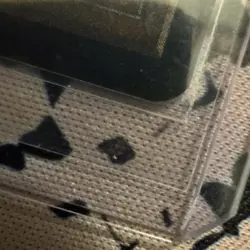 Danny Pink (Extended Art) Universes Beyond: Doctor Who Foil - Image 5