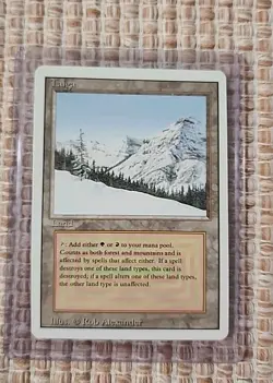 MTG Magic The Gathering LP Revised TAIGA - Image 2