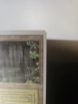 Bayou Revised Edition Regular - Image 3