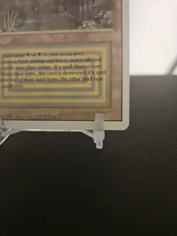 Bayou Revised Edition Regular - Image 4