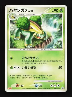 Grotle 034/D-P Meiji Chocolate Promo Japanese Pokemon Card TCG - Image 1