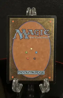 MTG - Argothian Enchantress - Urza’s Saga - LP Signed By Artist Daren Bader - Image 2