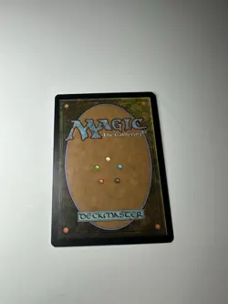 Essence Warden Planar Chaos LP MTG Common Magic the Gathering - Image 2