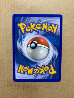 Lileep 42/100 EX Sandstorm - Uncommon Pokemon Card - NM/Mint - Image 2