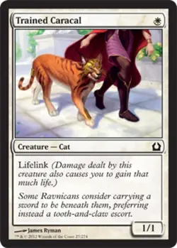 Trained Caracal X4 (Return to Ravnica) MTG (NM) *CCGHouse* Magic - Image 1