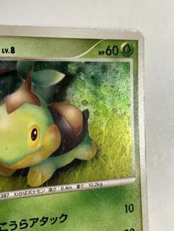 Turtwig 2008 001/014 Pokemon Card Game Pocket Monster Nintendo Japanese rare F/S - Image 3