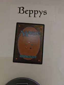 1x MTG Shipwreck Marsh - Innistrad: Midnight Hunt (MID) #267 - Magic - Image 2