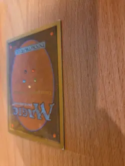 Savannah Lions Mtg (International Edition) - Image 4