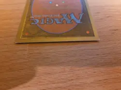 Savannah Lions Mtg (International Edition) - Image 5