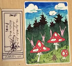 MTG ARTIST PROOF MTG Argothian Pixies AP Sketch Art Amy WEBER - Image 1