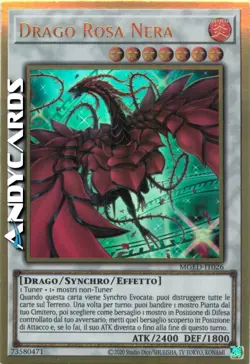 DRAGO ROSA NERA (Black Rose Dragon) Oro Premium Art • MGED IT026 • Unl • Yugioh! - Image 1