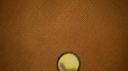 Magic the Gathering: Gaea's Cradle - Judge Promo, FOIL (VG+) - Image 2