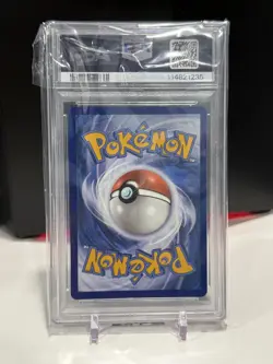 Pokemon PSA 10 Horsea IR Scarlet & Violet Shrouded Fable 067/064 - Image 2