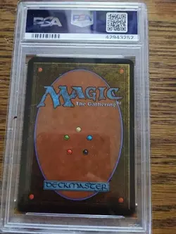 Plains (A) Alpha Edition Regular graded PSA 9 - Image 2