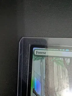 Forest (1134) Secret Lair Drop Foil Kozyndan mtg - Image 2