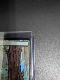 Forest (1134) Secret Lair Drop Foil Kozyndan mtg - Image 3