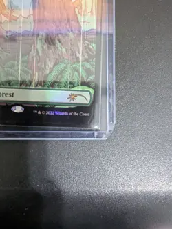 Forest (1134) Secret Lair Drop Foil Kozyndan mtg - Image 4