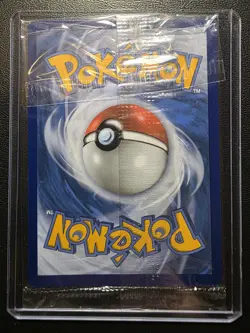 Greninja Gold Star SWSH144 Promo Pokemon Card - Sealed - Image 2