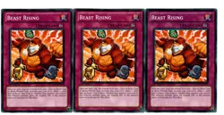 Yugioh- 3X Beast Rising - Common - 1st Edition - DREV-EN074 - Near Mint - Image 1