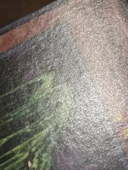 Yu-Gi-Oh! TCG Beastking of the Swamps GLD4-EN005 Limited Edition Common LP - Image 5