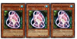 Yugioh- 3X Chrysalis Dolphin - Common - 1st Edition - POTD-EN006 - Near Mint - Image 1