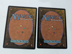 2 Dandan Arabian Nights MTG NM Free shipping with tracking - Image 2