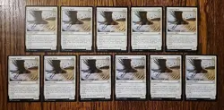 (11×) MTG - Tempest Hawk - Tarkir: Dragonstorm Regular - Unplayed - Image 1